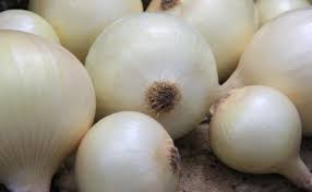 Onion - Jumosol Fruits SL